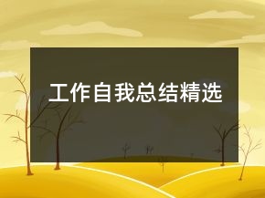 工作自我总结精选