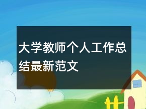 大学教师个人工作总结最新范文