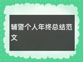 辅警个人年终总结范文