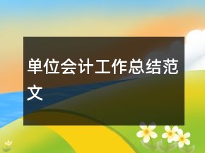 单位会计工作总结范文