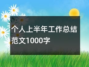 个人上半年工作总结范文1000字