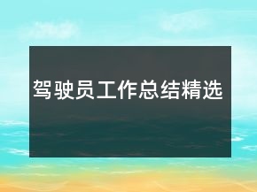 驾驶员工作总结精选