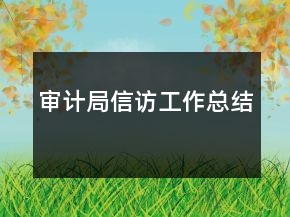 审计局信访工作总结