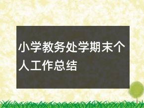 小学教务处学期末个人工作总结