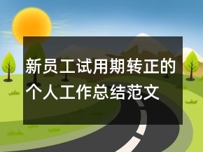 新员工试用期转正的个人工作总结范文