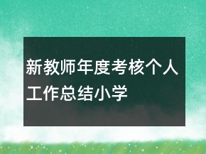 新教师年度考核个人工作总结小学