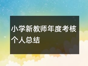 小学新教师年度考核个人总结