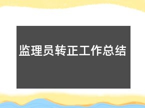 监理员转正工作总结