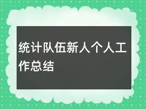 统计队伍新人个人工作总结