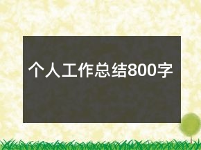 个人工作总结800字