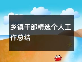 乡镇干部精选个人工作总结