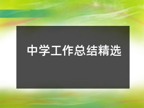 中学工作总结精选