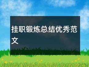 挂职锻炼总结优秀范文