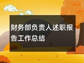 财务部负责人述职报告工作总结