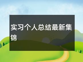 实习个人总结最新集锦