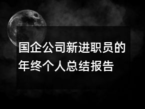 国企公司新进职员的年终个人总结报告