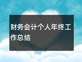 财务会计个人年终工作总结