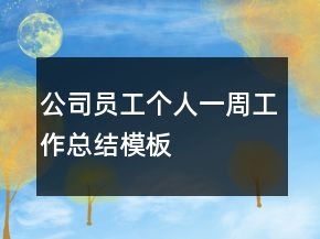 公司员工个人一周工作总结模板