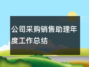 公司采购销售助理年度工作总结