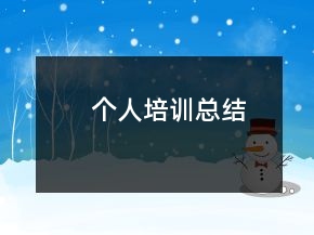 个人培训总结