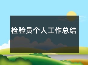 检验员个人工作总结
