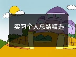 实习个人总结精选