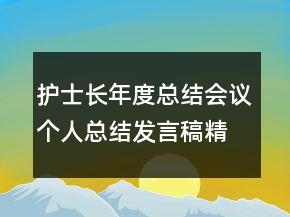 护士长年度总结会议个人总结发言稿精选