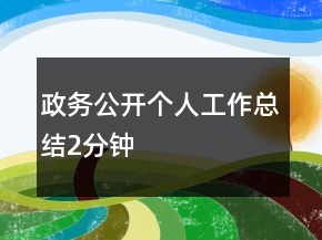 政务公开个人工作总结2分钟