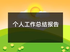 个人工作总结报告