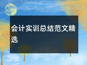 会计实训总结范文精选