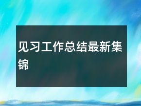 见习工作总结最新集锦