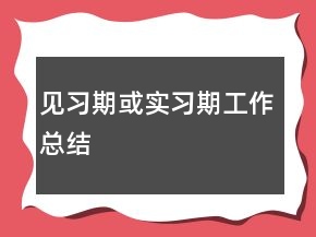 见习期或实习期工作总结