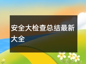 安全大检查总结最新大全