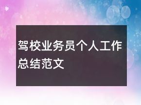 驾校业务员个人工作总结范文