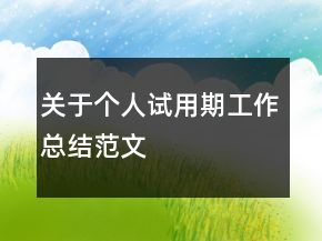 关于个人试用期工作总结范文