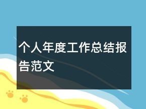 个人年度工作总结报告范文
