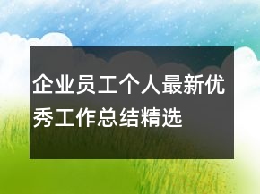企业员工个人最新优秀工作总结精选