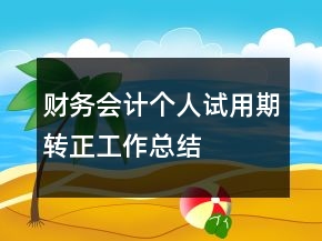 财务会计个人试用期转正工作总结