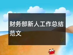 财务部新人工作总结范文