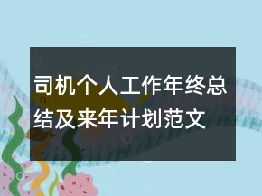司机个人工作年终总结及来年计划范文