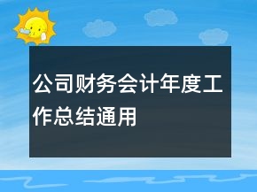 公司财务会计年度工作总结通用