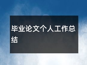 毕业论文个人工作总结