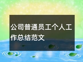 公司普通员工个人工作总结范文