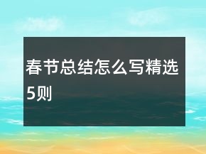 春节总结怎么写精选5则