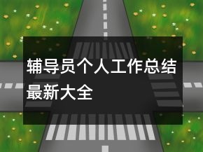辅导员个人工作总结最新大全