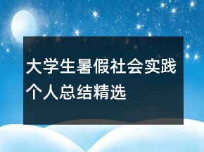 大学生暑假社会实践个人总结精选