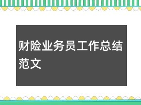 财险业务员工作总结范文