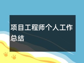 项目工程师个人工作总结
