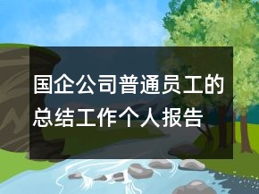 国企公司普通员工的总结工作个人报告
