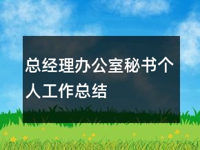 总经理办公室秘书个人工作总结
